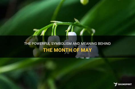 maju meaning|maj meaning in english.